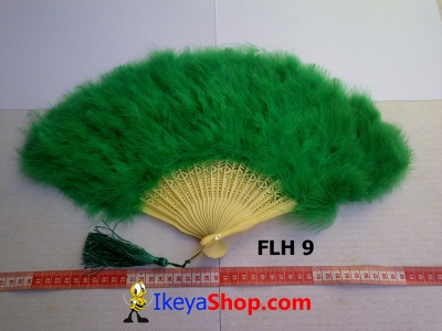 FLH 9  large2